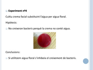  Experiment nº4
Cultiu crema facial substituint l’aigua per aigua floral.
Hipòtesis:
 No creixeran bacteris perquè la crema no conté aigua.
Conclusions:
 Si utilitzem aigua floral s’inhibeix el creixement de bacteris.
 