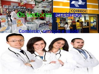 Os sectores terciários
Comércio, serviços e saúde
 