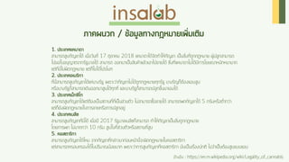 Cannabis Insalab Brand