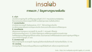 Cannabis Insalab Brand