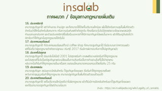 Cannabis Insalab Brand