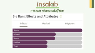 Cannabis Insalab Brand