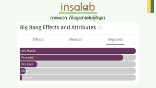 Cannabis Insalab Brand