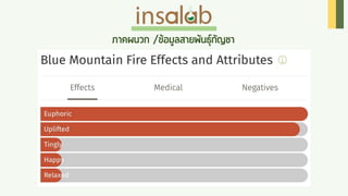 Cannabis Insalab Brand