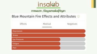 Cannabis Insalab Brand