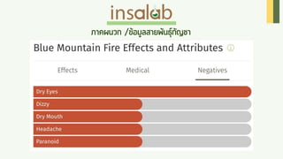 Cannabis Insalab Brand