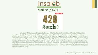 Cannabis Insalab Brand