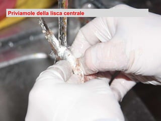 Priviamole della lisca centrale 