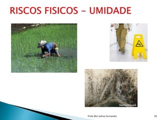 Profa Mst Selma Fernandes 85
 