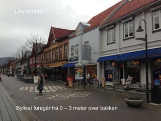 Lillehammer
Bylivet foregår fra 0 – 3 meter over bakken
 