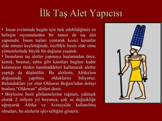 İlk Taş Alet Yapıcısıİlk Taş Alet Yapıcısı
• İnsan evriminde bugün için fark edebildiğimiz enİnsan evriminde bugün için fark edebildiğimiz en
belirgin sıçramalardan bir tanesi de taş aletbelirgin sıçramalardan bir tanesi de taş alet
yapımıdır. İnsan taşları yontarak kesici kenarlaryapımıdır. İnsan taşları yontarak kesici kenarlar
elde etmeyi keşfettiğinde, özellikle besin elde etmeelde etmeyi keşfettiğinde, özellikle besin elde etme
yöntemlerinde büyük bir değişim yaşandı.yöntemlerinde büyük bir değişim yaşandı.
• İnsanların taş aletler yapmaya başlamadan önce,İnsanların taş aletler yapmaya başlamadan önce,
kemik, boynuz, tahta gibi kanıtları bugüne kadarkemik, boynuz, tahta gibi kanıtları bugüne kadar
kalamayan türden hammaddeleri kullanarak aletlerkalamayan türden hammaddeleri kullanarak aletler
yaptığı da düşünülür. Bu aletlerin, Afrika'nınyaptığı da düşünülür. Bu aletlerin, Afrika'nın
doğusunda yapılmış olduklarını biliyoruz.doğusunda yapılmış olduklarını biliyoruz.
Bulundukları yer olan Olduwai Boğazı'ndan dolayıBulundukları yer olan Olduwai Boğazı'ndan dolayı
bunlara “Oldowan” aletleri denir.bunlara “Oldowan” aletleri denir.
• Böylesine basit görünmelerine rağmen, yaklaşıkBöylesine basit görünmelerine rağmen, yaklaşık
olarak 2 milyon yıl boyunca, çok az değişikliğeolarak 2 milyon yıl boyunca, çok az değişikliğe
uğrayarak Afrika ve Avrasya'da kullanılmışuğrayarak Afrika ve Avrasya'da kullanılmış
olmaları, bu aletlerin işlevselliğini gösterir.olmaları, bu aletlerin işlevselliğini gösterir.
 