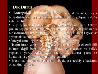 • Antropoloji biliminde;Antropoloji biliminde; İnsanın dik duruşunun, beyinİnsanın dik duruşunun, beyin
büyüklüğündeki artışın yanında ikincil büyük gelişim olduğubüyüklüğündeki artışın yanında ikincil büyük gelişim olduğu
kabul edilir.kabul edilir.
• 19. yüzyılın en büyük embriyoloğu Karl Ernst von Baer, 1828’de19. yüzyılın en büyük embriyoloğu Karl Ernst von Baer, 1828’de
şunları söylemişti: “Dik duruş beynin yüksek düzeyli gelişimininşunları söylemişti: “Dik duruş beynin yüksek düzeyli gelişiminin
bir sonucundan başka bir şey değildir. (...) İnsanla diğer hayvanlarbir sonucundan başka bir şey değildir. (...) İnsanla diğer hayvanlar
arasındaki bütün farklar, beynin yapısına bağlıdır.”arasındaki bütün farklar, beynin yapısına bağlıdır.”
• Yüz yıl sonra İngiliz antropolog G. E. Smith’e göre:Yüz yıl sonra İngiliz antropolog G. E. Smith’e göre:
““İnsanı insan yapan, dik durmaya başlaması ya da eklemli diliİnsanı insan yapan, dik durmaya başlaması ya da eklemli dili
bulması değil, beyninin aşamalı olarak olgunlaşması ve bellekbulması değil, beyninin aşamalı olarak olgunlaşması ve bellek
yapısının yavaş yavaş oluşmasıdır; dik duruşa geçiş veyapısının yavaş yavaş oluşmasıdır; dik duruşa geçiş ve
konuşmanın gelişmesi rastlantısal olgulardır.”konuşmanın gelişmesi rastlantısal olgulardır.”
• Freud ise; “İnsan olma, insanın dik duruşa geçişiyle başlamışFreud ise; “İnsan olma, insanın dik duruşa geçişiyle başlamış
olmalıdır.” diyordu.olmalıdır.” diyordu.
Dik DuruşDik Duruş
 