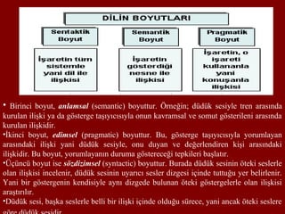 • Birinci boyut, anlamsal (semantic) boyuttur. Örneğin; düdük sesiyle tren arasında
kurulan ilişki ya da gösterge taşıyıcısıyla onun kavramsal ve somut gösterileni arasında
kurulan ilişkidir.
•İkinci boyut, edimsel (pragmatic) boyuttur. Bu, gösterge taşıyıcısıyla yorumlayan
arasındaki ilişki yani düdük sesiyle, onu duyan ve değerlendiren kişi arasındaki
ilişkidir. Bu boyut, yorumlayanın duruma göstereceği tepkileri başlatır.
•Üçüncü boyut ise sözdizimsel (syntactic) boyuttur. Burada düdük sesinin öteki seslerle
olan ilişkisi incelenir, düdük sesinin uyarıcı sesler dizgesi içinde tuttuğu yer belirlenir.
Yani bir göstergenin kendisiyle aynı dizgede bulunan öteki göstergelerle olan ilişkisi
araştırılır.
•Düdük sesi, başka seslerle belli bir ilişki içinde olduğu sürece, yani ancak öteki seslere
 