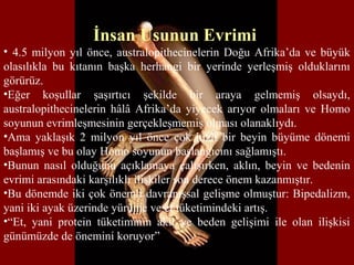 İnsan Usunun Evrimi
• 4.5 milyon yıl önce, australopithecinelerin Doğu Afrika’da ve büyük
olasılıkla bu kıtanın başka herhangi bir yerinde yerleşmiş olduklarını
görürüz.
•Eğer koşullar şaşırtıcı şekilde bir araya gelmemiş olsaydı,
australopithecinelerin hâlâ Afrika’da yiyecek arıyor olmaları ve Homo
soyunun evrimleşmesinin gerçekleşmemiş olması olanaklıydı.
•Ama yaklaşık 2 milyon yıl önce çok hızlı bir beyin büyüme dönemi
başlamış ve bu olay Homo soyunun başlangıcını sağlamıştı.
•Bunun nasıl olduğunu açıklamaya çalışırken, aklın, beyin ve bedenin
evrimi arasındaki karşılıklı ilişkiler son derece önem kazanmıştır.
•Bu dönemde iki çok önemli davranışsal gelişme olmuştur: Bipedalizm,
yani iki ayak üzerinde yürüme ve et tüketimindeki artış.
•“Et, yani protein tüketiminin akıl ve beden gelişimi ile olan ilişkisi
günümüzde de önemini koruyor”
 