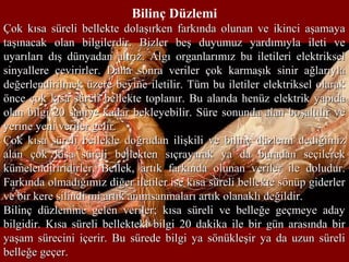 Bilinç Düzlemi
Çok kısa süreli bellekte dolaşırken farkında olunan ve ikinci aşamayaÇok kısa süreli bellekte dolaşırken farkında olunan ve ikinci aşamaya
taşınacak olan bilgilerdir. Bizler beş duyumuz yardımıyla ileti vetaşınacak olan bilgilerdir. Bizler beş duyumuz yardımıyla ileti ve
uyarıları dış dünyadan alırız. Algı organlarımız bu iletileri elektrikseluyarıları dış dünyadan alırız. Algı organlarımız bu iletileri elektriksel
sinyallere çevirirler. Daha sonra veriler çok karmaşık sinir ağlarıylasinyallere çevirirler. Daha sonra veriler çok karmaşık sinir ağlarıyla
değerlendirilmek üzere beyine iletilir. Tüm bu iletiler elektriksel olarakdeğerlendirilmek üzere beyine iletilir. Tüm bu iletiler elektriksel olarak
önce çok kısa süreli bellekte toplanır. Bu alanda henüz elektrik yapıdaönce çok kısa süreli bellekte toplanır. Bu alanda henüz elektrik yapıda
olan bilgi 20 saniye kadar bekleyebilir. Süre sonunda alan boşaltılır veolan bilgi 20 saniye kadar bekleyebilir. Süre sonunda alan boşaltılır ve
yerine yeni veriler gelir.yerine yeni veriler gelir.
Çok kısa süreli bellekle doğrudan ilişkili ve bilinç düzlemi dediğimizÇok kısa süreli bellekle doğrudan ilişkili ve bilinç düzlemi dediğimiz
alan çok kısa süreli bellekten sıçrayarak ya da buradan seçilerekalan çok kısa süreli bellekten sıçrayarak ya da buradan seçilerek
kümelendiriridirler. Bellek, artık farkında olunan veriler ile doludur.kümelendiriridirler. Bellek, artık farkında olunan veriler ile doludur.
Farkında olmadığımız diğer iletiler ise kısa süreli bellekte sönüp giderlerFarkında olmadığımız diğer iletiler ise kısa süreli bellekte sönüp giderler
ve bir kere silindi mi artık anımsanmaları artık olanaklı değildir.ve bir kere silindi mi artık anımsanmaları artık olanaklı değildir.
Bilinç düzlemine gelen veriler; kısa süreli ve belleğe geçmeye adayBilinç düzlemine gelen veriler; kısa süreli ve belleğe geçmeye aday
bilgidir. Kısa süreli bellekteki bilgi 20 dakika ile bir gün arasında birbilgidir. Kısa süreli bellekteki bilgi 20 dakika ile bir gün arasında bir
yaşam sürecini içerir. Bu sürede bilgi ya sönükleşir ya da uzun süreliyaşam sürecini içerir. Bu sürede bilgi ya sönükleşir ya da uzun süreli
belleğe geçer.belleğe geçer.
 