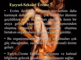 Eşeysel-Seksüel ÜremeEşeysel-Seksüel Üreme
• Evrim ilerledikçe organel işlevlerinin dahaEvrim ilerledikçe organel işlevlerinin daha
karmaşık durum aldıkları, çok hücreliler âleminekarmaşık durum aldıkları, çok hücreliler âlemine
geçildikten sonra da, bunları yürütmek üzere birgeçildikten sonra da, bunları yürütmek üzere bir
araya gelmiş hücreler, onların birleşmesindenaraya gelmiş hücreler, onların birleşmesinden
oluşmuş organlar ve organlardan oluşmuşoluşmuş organlar ve organlardan oluşmuş
birtakım organizmaların ortaya çıktığı görülür.birtakım organizmaların ortaya çıktığı görülür.
• Bu organizmaların bölünerek çoğalmaları çokBu organizmaların bölünerek çoğalmaları çok
güç olacağından, zamanla eşeysel (sexual) üremegüç olacağından, zamanla eşeysel (sexual) üreme
gelişir.gelişir.
• Eşeyli Üreme Genlerin karışımını ve kalıtsalEşeyli Üreme Genlerin karışımını ve kalıtsal
bilgilerin gelecek kuşaklara aktarılmasını sağlar.bilgilerin gelecek kuşaklara aktarılmasını sağlar.
 