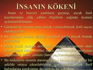 İNSANIN KÖKENİİNSANIN KÖKENİ
• İnsan ve benzeri canlıların geçmişi, ancak fosilİnsan ve benzeri canlıların geçmişi, ancak fosil
kayıtlarından elde edilen bilgilerin ışığında kısmenkayıtlarından elde edilen bilgilerin ışığında kısmen
aydınlatılabilmiştir.aydınlatılabilmiştir.
• Günümüzde insanın atası olarak varsayabilecek fosil sayısıGünümüzde insanın atası olarak varsayabilecek fosil sayısı
oldukça azdır.oldukça azdır.
• Bu nedenle insanın izlediği evrimsel yolda birçok boşlukBu nedenle insanın izlediği evrimsel yolda birçok boşluk
mevcuttur.mevcuttur.
• Hatta çeşitli jeolojik devirlerde bulunan ve insanın atasıHatta çeşitli jeolojik devirlerde bulunan ve insanın atası
olarak kabul edilen fosiller, farklı sistematikçiler tarafındanolarak kabul edilen fosiller, farklı sistematikçiler tarafından
incelenince, farklı ailelere (familya) konulmaktadır.incelenince, farklı ailelere (familya) konulmaktadır.
• Bu nedenlerle insanın atasının ve soy oluşumunun, kesin birBu nedenlerle insanın atasının ve soy oluşumunun, kesin bir
şekilde ortaya çıkarılabilmesi için, daha birçok fosilşekilde ortaya çıkarılabilmesi için, daha birçok fosil
bulgularına gereksinme duyulduğu bir gerçektir.
 