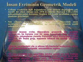 İnsan Evriminin Geometrik Modeliİnsan Evriminin Geometrik Modeli
• Gelişme evreleriyle ilgili değişimlerin, yeni türlerin doğmasında çokGelişme evreleriyle ilgili değişimlerin, yeni türlerin doğmasında çok
önemli bir etken olduğu tezi, 1970 li yıllarda Harvard Üniversitesiönemli bir etken olduğu tezi, 1970 li yıllarda Harvard Üniversitesi
paleontologlarından dostumuz Stephen Jay Gould tarafından yenidenpaleontologlarından dostumuz Stephen Jay Gould tarafından yeniden
gündeme getirilmişti.gündeme getirilmişti.
• Son yıllarda, Paris’teki Doğal Tarih Ulusal Müzesinde onunSon yıllarda, Paris’teki Doğal Tarih Ulusal Müzesinde onun
meslektaşı olan Anne Malasse, bu savdan yola çıkarak çeşitlimeslektaşı olan Anne Malasse, bu savdan yola çıkarak çeşitli
çalışmalar yaptı:çalışmalar yaptı:
• Malasse; insanın evrim düzeneğinin geometrik bir modeliniMalasse; insanın evrim düzeneğinin geometrik bir modelini
oluşturarak, bu kurama yeni bir soluk kazandırdı. Bazı uzmanlar,oluşturarak, bu kurama yeni bir soluk kazandırdı. Bazı uzmanlar,
Malasse’in çalışmalarını yaratılış kuramına temel oluşturduğunu ileriMalasse’in çalışmalarını yaratılış kuramına temel oluşturduğunu ileri
sürerken, bir başka grup, tamamen bilimsel bir özelliği olduğunusürerken, bir başka grup, tamamen bilimsel bir özelliği olduğunu
savunuyordu.savunuyordu.
• Malasse, çocuklardaki yüz ve altçene büyümelerini inceleyerek, yüz veMalasse, çocuklardaki yüz ve altçene büyümelerini inceleyerek, yüz ve
ağız gelişimlerinde ortopedik anormallikler saptadı.ağız gelişimlerinde ortopedik anormallikler saptadı.
• Alt çene gerilediği için, omuriliğin içinden geçtiği art kafa boşluğuAlt çene gerilediği için, omuriliğin içinden geçtiği art kafa boşluğu
yukarıda kalıyor, ya da çok öne çıktığı için boyun ve boğaz ön taraftayukarıda kalıyor, ya da çok öne çıktığı için boyun ve boğaz ön tarafta
bir konum alıyordu. Yüzün yatay büyümesinde yetersizlik sözbir konum alıyordu. Yüzün yatay büyümesinde yetersizlik söz
konusuyken, çok dikey bir biçimde büyümüş olduğu gözleniyordu.konusuyken, çok dikey bir biçimde büyümüş olduğu gözleniyordu.
 