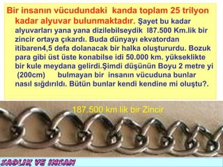 Bir insanın vücudundaki kanda toplam 25 trilyon
  kadar alyuvar bulunmaktadır. Şayet bu kadar
 alyuvarları yana yana dizilebilseydik l87.500 Km.lik bir
 zincir ortaya çıkardı. Buda dünyayı ekvatordan
 itibaren4,5 defa dolanacak bir halka oluştururdu. Bozuk
 para gibi üst üste konabilse idi 50.000 km. yükseklikte
 bir kule meydana gelirdi.Şimdi düşünün Boyu 2 metre yi
  (200cm)      bulmayan bir insanın vücuduna bunlar
 nasıl sığdırıldı. Bütün bunlar kendi kendine mi oluştu?.


                 187.500 km lik bir Zincir
 