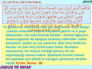 ALLAH TEALA BUYURUYOR Ki
                                                                                                         T.C.

 ّ ‫و َ ه ُ و َ ا ل ّ ذ ِ ي َ أ َ ن ز َ ل َ م ِ ن َ ال س ّ م َاء م َاء ف َ أ َ خ ْ ر َ ج ْ ن َا ب ِ ه ِ ن َ ب َا ت َ ك ُ ل‬
                                                                                                 KÖYCEĞİZ MÜFTÜLÜĞÜ



    ‫ش َ ي ْ ء ٍ ف َ أ َ خ ْ ر َ ج ْ ن َا م ِ ن ْ ه ُ خ َ ض ِ ر ًا ن ّ خ ْ ر ِ ج ُ م ِ ن ْ ه ُ ح َ ب ّا م ّ ت َ ر َا ك ِ ب ًا‬
        ْ ‫و َ م ِ ن َ ال ن ّ خ ْ ل ِ م ِن ط َ ل ْ ع ِ ه َا ق ِ ن ْ و َا ن ٌ د َا ن ِ ي َ ة ٌ و َ ج َ ن ّا ت ٍ م ّ ن‬
       ٍ ‫أ َ ع ْ ن َا ب ٍ و َال ز ّ ي ْ ت ُو ن َ و َال ر ّ م ّا ن َ م ُ ش ْ ت َ ب ِ ه ًا و َ غ َ ي ْ ر َ م ُ ت َ ش َا ب ِ ه‬
          ْ ‫ان ظ ُ ر ُو ا ْ إ ِ ل ِى ث َ م َ ر ِ ه ِ إ ِ ذ َا أ َ ث ْ م َ ر َ و َ ي َ ن ْ ع ِ ه ِ إ ِ ن ّ ف ِي ذ َ ل ِ ك ُ م‬
“O gökten su indirendir. İşte biz onunla her türlü bitkiyi
        çıkarıp onlardan
                                             َ ‫ُو ن‬yeşillik ْ ‫ ل ي َا ت ٍ ل ّ ق َ و‬getirir ve o yeşil
                                                    ‫ م ٍ ي ُ ؤ ْ م ِ ن‬meydana
    bitkilerden, üst üste binmiş taneler, -hurma ağacının
    tomurcuğunda da aşağıya sarkmış salkımlar- üzüm
    bahçeleri, zeytin ve nar çıkarırız: (Her biri) birbirine
    benzer ve (her biri) birbirinden farklı. Bunların
    meyvesine, bir meyve verdiği zaman, bir de
    olgunlaştığı zaman bakın. Şüphesiz bunda inanan
    bir topluluk için (Allah’ın varlığını gösteren) ibretler
    vardır En’âm Sûresi 99
 