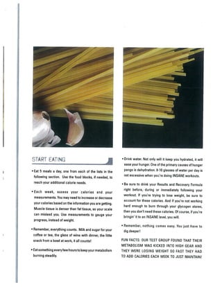 Insanity nutrition guide