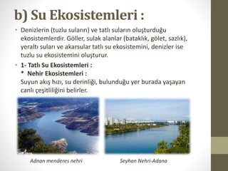 b) Su Ekosistemleri :
• Denizlerin (tuzlu suların) ve tatlı suların oluşturduğu
ekosistemlerdir. Göller, sulak alanlar (bataklık, gölet, sazlık),
yeraltı suları ve akarsular tatlı su ekosistemini, denizler ise
tuzlu su ekosistemini oluşturur.
• 1- Tatlı Su Ekosistemleri :
* Nehir Ekosistemleri :
Suyun akış hızı, su derinliği, bulunduğu yer burada yaşayan
canlı çeşitliliğini belirler.
Adnan menderes nehri Seyhan Nehri-Adana
 