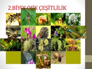 2.BİYOLOJİK ÇEŞİTLİLİK
 