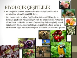 BİYOLOJİK ÇEŞİTLİLİK
• Bir bölgedeki bitki ve hayvan türlerinin ve çeşitlerinin sayıca
zenginliğine biyolojik çeşitlilik denir.
• Her ekosistemin kendine özgü bir biyolojik çeşitliliği vardır ve
biyolojik çeşitlilik bir doğal zenginliktir. Bir ülkedeki bitki ve hayvan
türleri, hem o ülkenin, hem de dünyanın biyolojik zenginliği olarak
kabul edilir. Bir ekosistemdeki biyolojik çeşitliliğin fazla olması o
ekosistemin diğer ekosistemlere göre üstün olması anlamına gelmez.
 