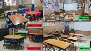 PRE-ESCOLAR
PRE-ESCOLAR
PRIMARIA
PRIMARIA
 