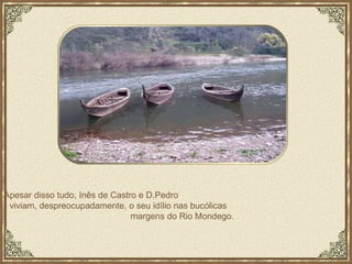 Apesar disso tudo, Inês de Castro e D.Pedro  viviam, despreocupadamente, o seu idílio nas bucólicas  margens do Rio Mondego.  