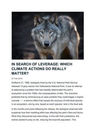 IN SEARCH OF LEVERAGE: WHICH
CLIMATE ACTIONS DO REALLY
MATTER?
27 Feb 2019
OnMarch 21, 1995, biologists hired by the U.S. National Park Service
released 14 grey wolves into Yellowstone National Park. It was an attempt
at addressing a problem that had steadily deteriorated the park’s
ecosystem since the 1920s: the overpopulation of elks. The scientists
predicted that by reintroducing an apex predator they could trigger a ​trophic
cascade ​— a domino effect that causes the recovery of individual species
in an ecosystem, one by one, based on each species’ rank in the food web.
In the months and years following the release, the biologists observed with
suspense how their rewilding effort was affecting the park’s flora and fauna.
What they discovered was astounding. In line with their predictions, the
wolves started to prey on elk, reducing the local elk population. This
 