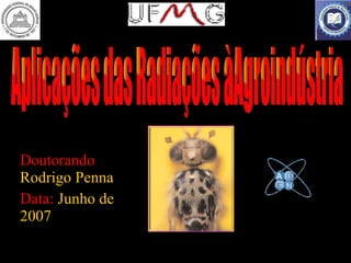 Doutorando  Rodrigo Penna Data:  Junho de 2007 Aplicações das Radiações àAgroindústria 