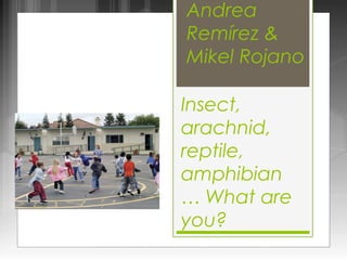 Andrea
Remírez &
Mikel Rojano

Insect,
arachnid,
reptile,
amphibian
… What are
you?
 