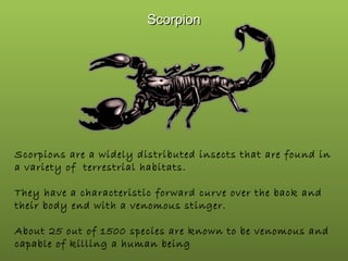 Scorpion

Scorpions are a widely distributed insects that are found in
a variety of  terrestrial habitats.
They have a characteristic forward curve over the back and
their body end with a venomous stinger.
About 25 out of 1500 species are known to be venomous and
capable of killing a human being

 