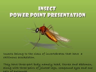 Insect
Power point Presentation

Insects belong to the class of invertebrates that have a
chitinous exoskeleton.
They have three-part body namely head, thorax and abdomen,
along with three pairs of jointed legs, compound eyes and one

 