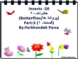 Insect 20