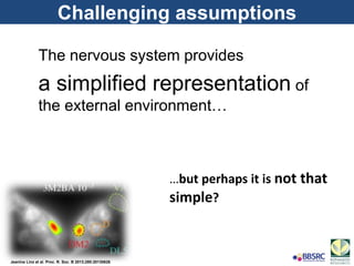 Challenging assumptions
The nervous system provides
a simplified representation of
the external environment…
…but perhaps it is not that
simple?
Jeanine Linz et al. Proc. R. Soc. B 2013;280:20130626
 