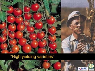 “High yielding varieties”
 