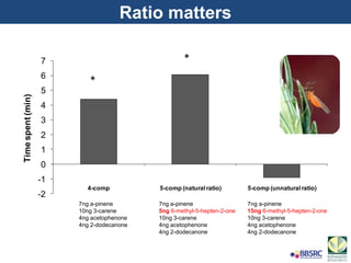 Ratio matters
-2
-1
0
1
2
3
4
5
6
7
4-comp 5-comp (naturalratio) 5-comp (unnaturalratio)
Timespent(min)
7ng a-pinene
5ng 6-methyl-5-hepten-2-one
10ng 3-carene
4ng acetophenone
4ng 2-dodecanone
7ng a-pinene
15ng 6-methyl-5-hepten-2-one
10ng 3-carene
4ng acetophenone
4ng 2-dodecanone
7ng a-pinene
10ng 3-carene
4ng acetophenone
4ng 2-dodecanone
*
*
 