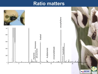 caryophyllene
humulene
4-allylanisole
cinnamaldehyde
linalool
(E)-ocimene
limonene
myrcene
Ratio matters
 