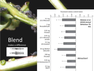 Attraction!
Blend
makes a difference
Webster et al.
(2010) Animal
Behaviour 79:
451
 