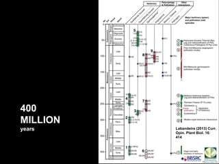 Split second
decisions
Labandeira (2013) Curr.
Opin. Plant Biol. 16:
414
400
MILLION
years
 