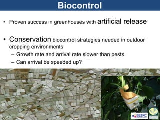 Biocontrol
• Proven success in greenhouses with artificial release
• Conservation biocontrol strategies needed in outdoor
cropping environments
– Growth rate and arrival rate slower than pests
– Can arrival be speeded up?
 