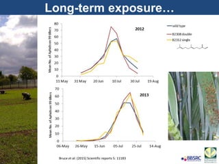 Long-term exposure…
Bruce et al. (2015) Scientific reports 5: 11183
 