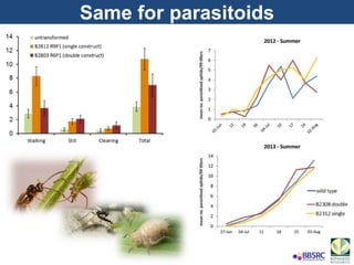 Same for parasitoids
 