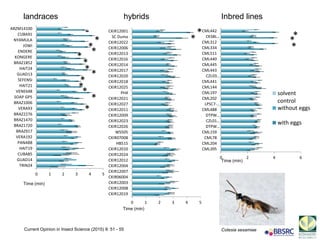 0 1 2 3 4 5
CKIR12019
CKIR12008
CKIR12003
CKIR06004
CKIR12007
CKIR12004
CKIR12012
CKIR12024
CKIR12010
HB515
CKIR07008
WS505
CKIR12026
CKIR12023
CKIR12009
CKIR12011
CKIR12027
CKIR12021
PH4
CKIR12025
CKIR12018
CKIR12020
CKIR12017
CKIR12014
CKIR12016
CKIR12013
CKIR12006
CKIR12022
SC Duma
CKIR12001
*
*
0 1 2 3 4 5
TRIN24
GUAD14
CUBA85
HAIT19
PANA88
VERA192
BRAZ917
BRAZ1720
BRAZ1470
BRAZ2276
VERA93
BRAZ1006
SOAP GP5
VENE648
HAIT21
SEFENSI
GUAD13
HAIT24
BRAZ1852
KONGERE
ENDERE
JOWI
NYAMULA
CUBA91
ARZM14100
*
*
*
* **
*
*
*
*
**
*
0 2 4 6
CML395
CML204
CML78
CML159
DTPW…
CZL01…
DTPW…
CML488
LPSC7-…
CML202
CML197
CML144
CML441
CZL03…
CML443
CML445
CML440
CML511
CML334
CML312
CKSBL…
CML442
solvent
control
without eggs
with eggs
**
*
landraces hybrids Inbred lines
Time (min)
Time (min)
Time (min)
Cotesia sesamiaeCurrent Opinion in Insect Science (2015) 9: 51 - 55
 