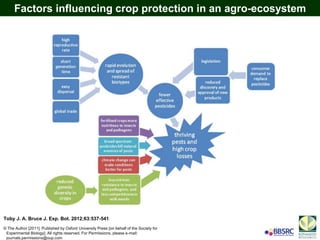 Toby J. A. Bruce J. Exp. Bot. 2012;63:537-541
© The Author [2011]. Published by Oxford University Press [on behalf of the Society for
Experimental Biology]. All rights reserved. For Permissions, please e-mail:
journals.permissions@oup.com
Factors influencing crop protection in an agro-ecosystem
 