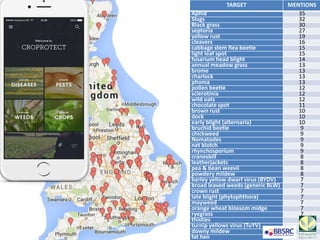 TARGET MENTIONS
Aphid 35
Slugs 32
Black grass 30
septoria 27
yellow rust 19
cleavers 16
cabbage stem flea beetle 15
light leaf spot 15
fusarium head blight 14
annual meadow grass 13
brome 13
charlock 13
phoma 13
pollen beetle 12
sclerotinia 12
wild oats 12
chocolate spot 11
brown rust 10
dock 10
early blight (alternaria) 10
bruchid beetle 9
chickweed 9
Nematodes 9
net blotch 9
rhynchosporium 9
cranesbill 8
leatherjackets 8
pea & bean weevil 8
powdery mildew 8
barley yellow dwarf virus (BYDV) 7
broad leaved weeds (generic BLW) 7
crown rust 7
late blight (phytophthora) 7
mayweed 7
orange wheat blossom midge 7
ryegrass 7
thistles 7
turnip yellows virus (TuYV) 7
downy mildew 6
fat hen 6
 