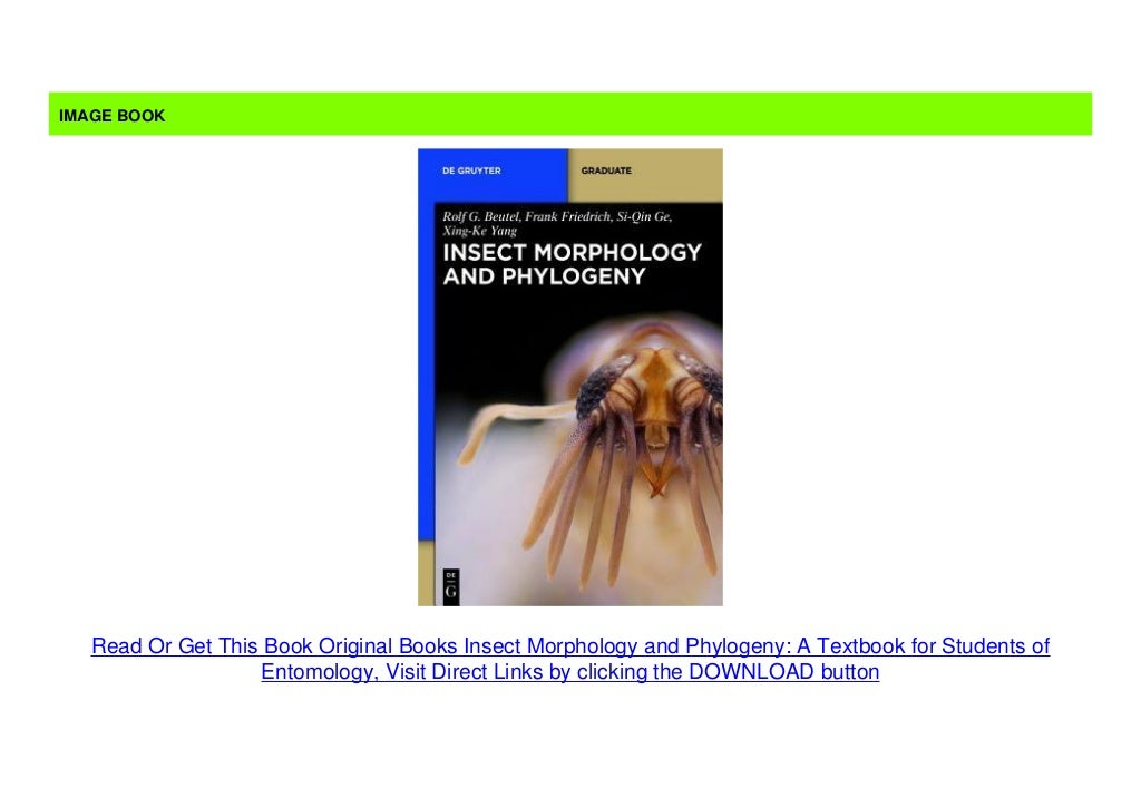 Original Books Insect Morphology and Phylogeny A Textbook for Students