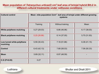 Mean population of Tetranychus urticae/2 cm2 leaf area of brinjal hybrid BH-2 in
           different cultural treatments under nethouse conditions

Cultural control             Mean mite population/ 2cm2 leaf area of brinjal under different growing
                                                          systems


                                  Training             Without training               Mean

White polythene mulching        5.27 (29.03)             6.86 (46.96)              6.17 (38.00)

Black polythene mulching        5.25 (26.86)             6.14 (37.00)              5.70 (31.93)


Low tunnel white polythene      5.59 (30.43)             7.18 (51.86)              6.38 (41.15)
mulching

Control                         6.43 (42.13)             7.68 (58.53)              7.06 (50.33)

Mean                            5.69 (32,11)             6.97 (48.59)                    -

C.D (P=0.05)                       0.27



       Ludhiana                                                    Bhullar and Dhatt 2011
 